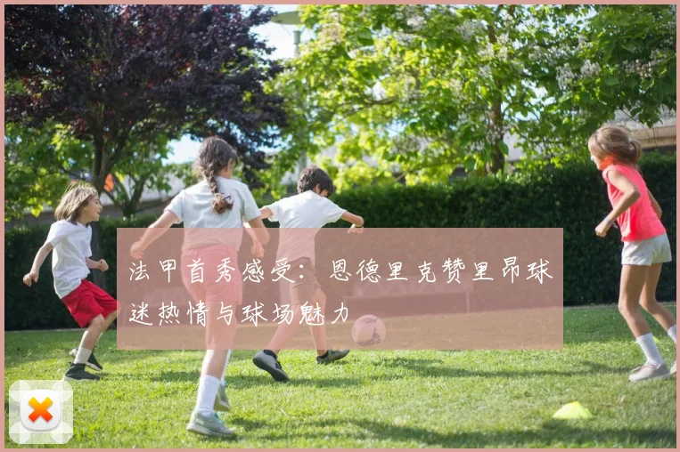 法甲首秀感受：恩德里克赞里昂球迷热情与球场魅力